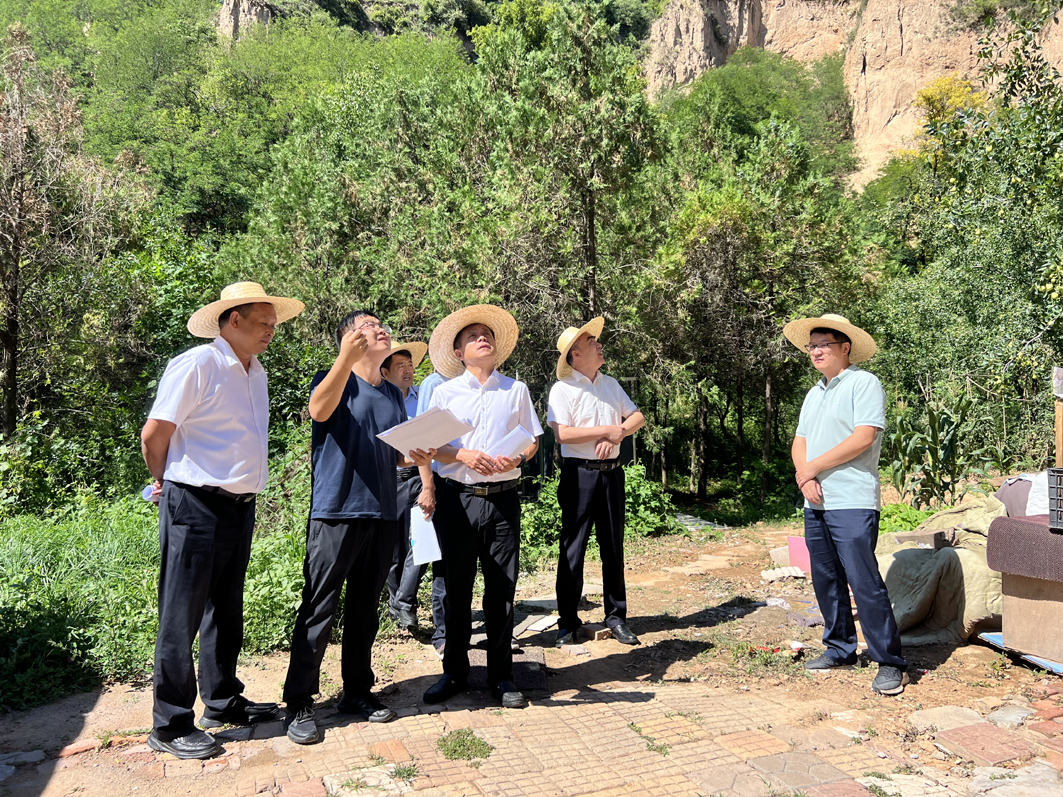 1724811534105922.jpg 1.jpg